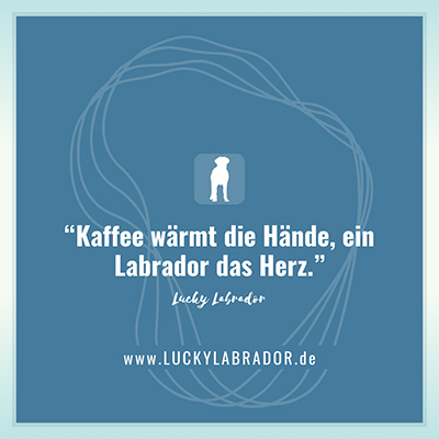 Labrador Spruch: „Kaffee wärmt die Hände, ein Labrador das Herz.“