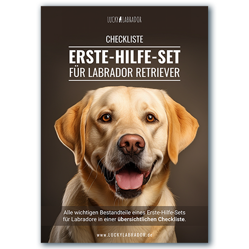 PDF-Checkliste: Erste-Hilfe-Set für Labrador Retriever von Lucky Labrador