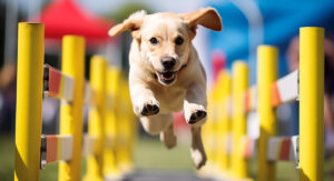 Lucky Labrador - der Ratgeber-Blog für Menschen mit Labrador Retriever - Thema: Warum Hundesport für deinen Labrador Retriever mehr als nur ein Spiel ist