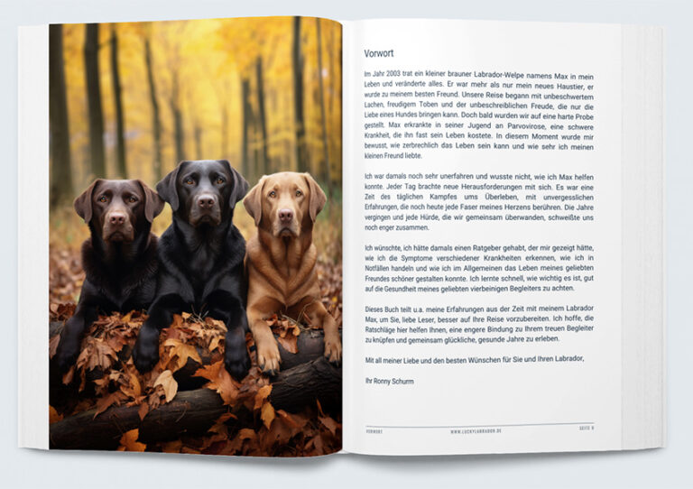E-Book: Gesundheits- und Erste-Hilfe-Ratgeber für Labrador Retriever