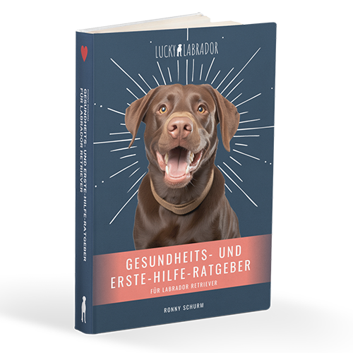 E-Book: Gesundheits- und Erste-Hilfe-Ratgeber für Labrador Retriever - Buchcover - Jetzt bei Lucky Labrador bestellen!